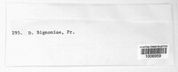 Media resource of Dothidea bignoniae